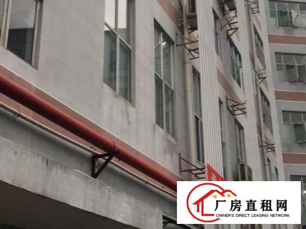  精装小面积厂房117平方急转