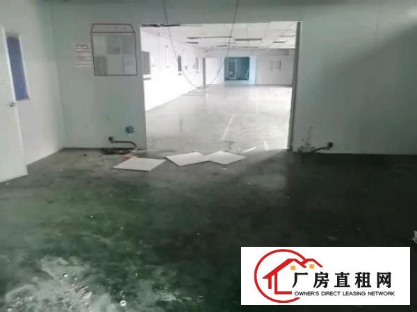  松岗精装修洁净车间出租