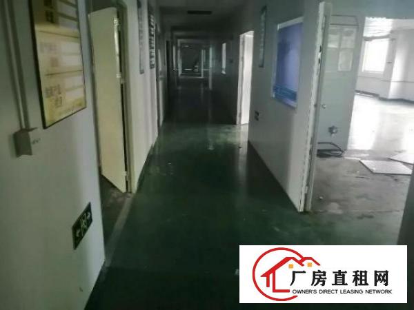  松岗精装修洁净车间出租