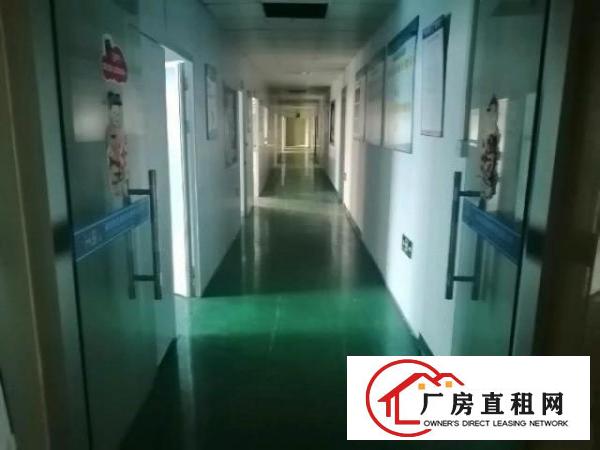  松岗精装修洁净车间出租