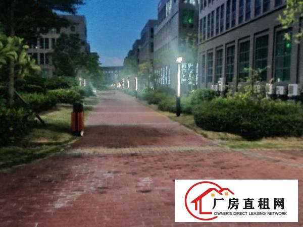  琦丰达大厦24楼2403号房