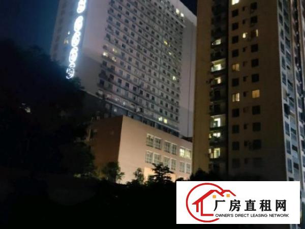  琦丰达大厦24楼2403号房
