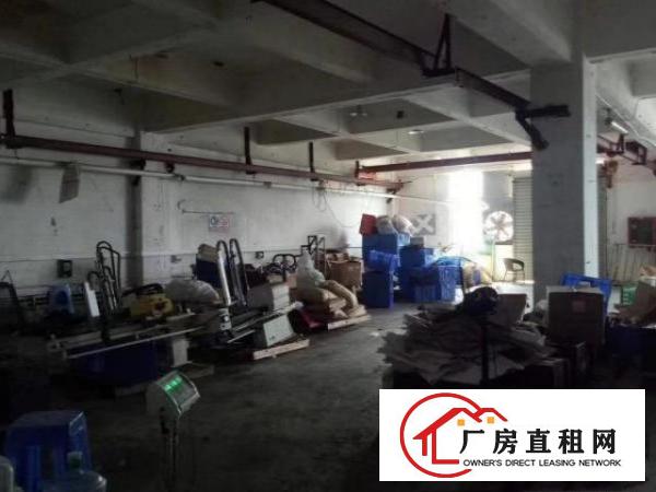  松岗碧头楼上500㎡招租，现成行车，有办公室，水电到位。