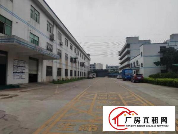  厂房出租宝安松岗江边
