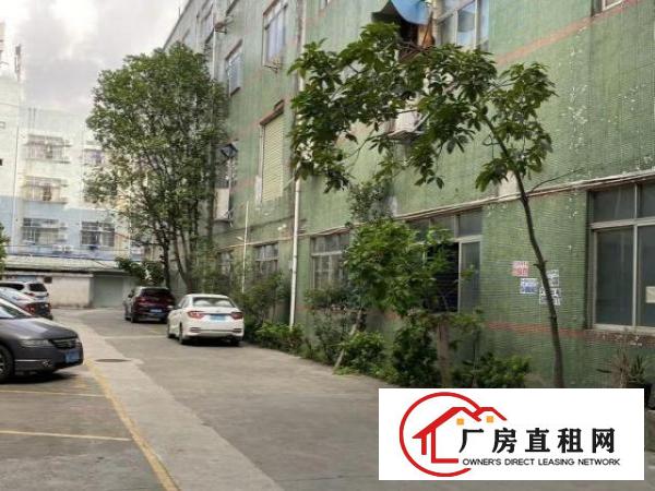 个人精装修九成新厂商配套厂房