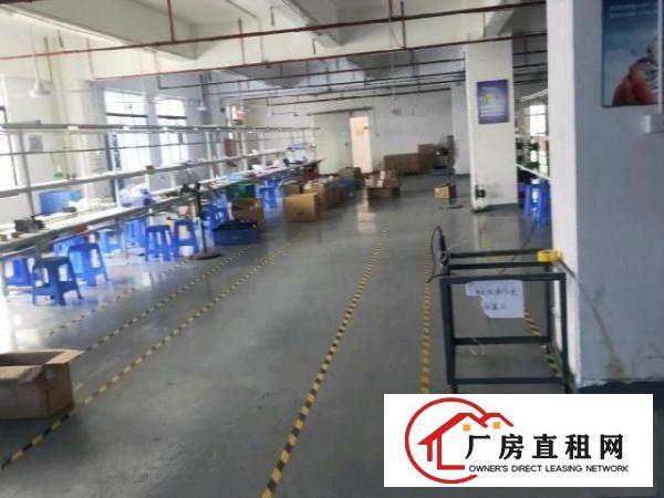  楼上精装修厂房车间办公室出租