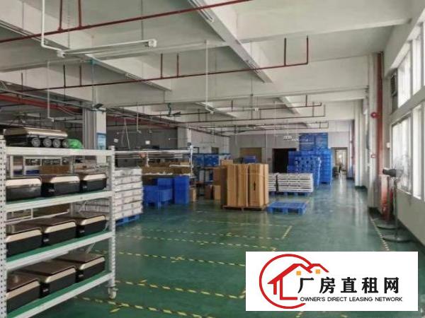  松岗松涛出租一楼厂房700方，形象好，方正实用