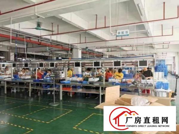  松岗松涛出租一楼厂房700方，形象好，方正实用