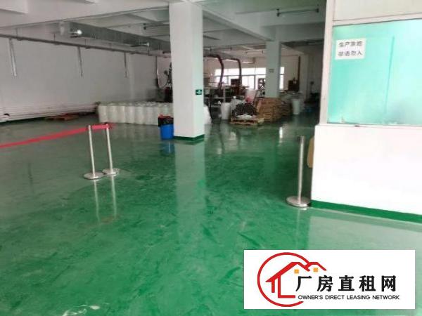  松岗洋涌，红本厂房二楼900平，无尘车间，豪华办公区