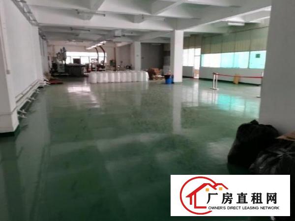  松岗洋涌，红本厂房二楼900平，无尘车间，豪华办公区