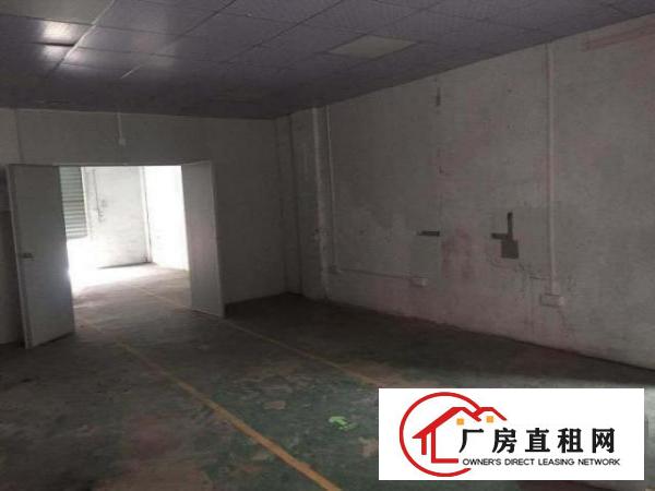  松岗红星新出楼上精装修厂房，107国道附近
