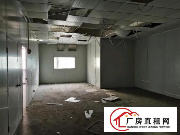  松岗碧头新出高标准工业厂房高速路口旁约500平方米