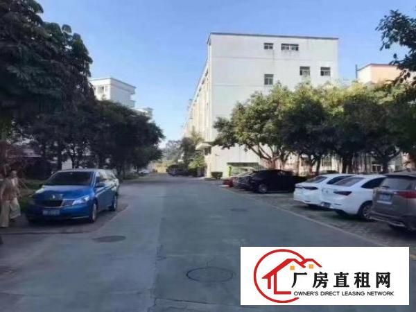  园区形象高大上，原房东独栋