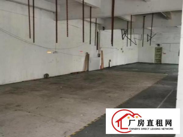  可分租，有办公室装修好了