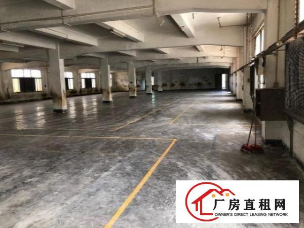  松岗工业村独栋厂房二楼三楼签5年
