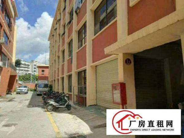  松岗车站附近特价一楼660平，