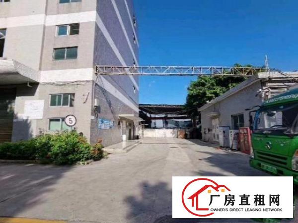  松岗新出原房东独门独院厂房一致三层15000平方出租