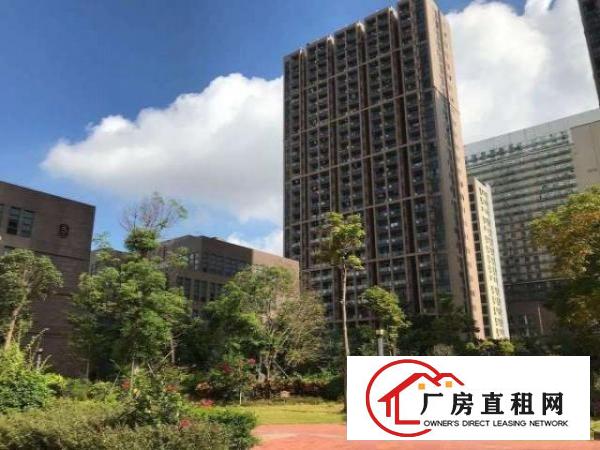  融和谷园区100平简装办公室