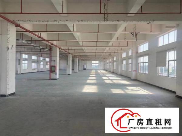  18块！原房东~重工业厂房！承重一吨每平方