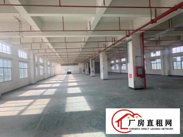  18块！原房东~重工业厂房！承重一吨每平方