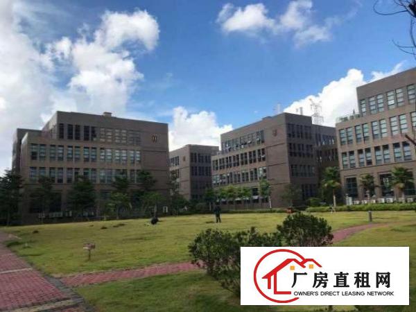  落叶等秋风，而我、在等你