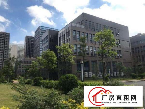  落叶等秋风，而我、在等你