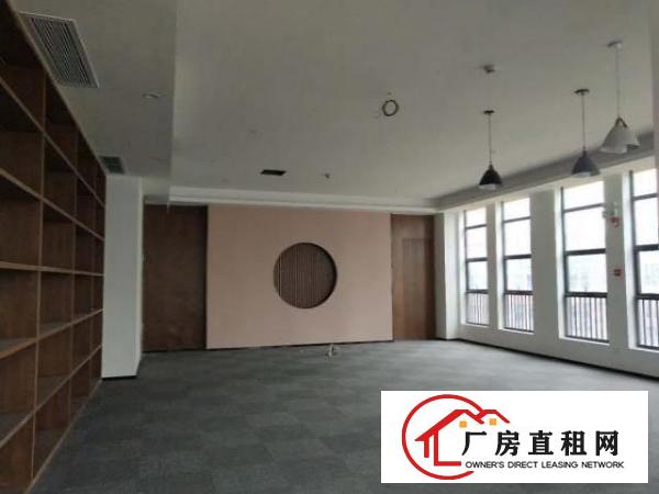  落叶等秋风，而我、在等你