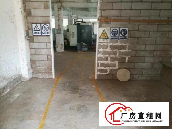  一楼，分租，厂房，仓库