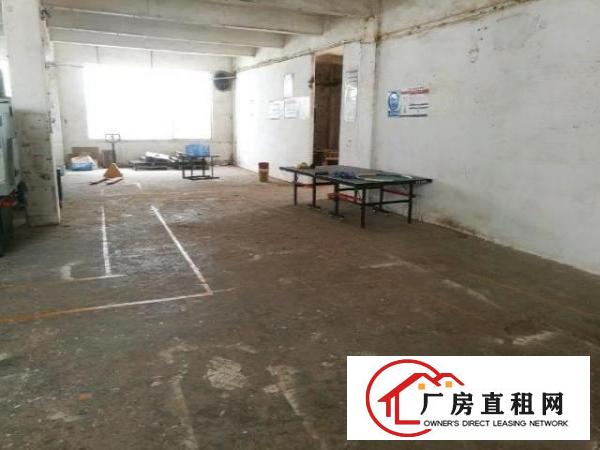  一楼，分租，厂房，仓库