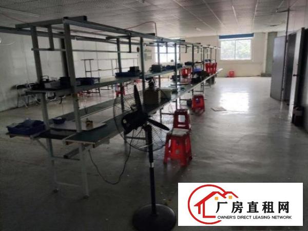  宝安大道边上2楼650平精装修厂房，拎包生产