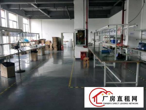  租户承租房，现分租，抱团过冬！