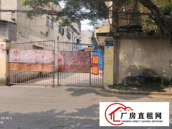  经典小独院！松岗沙浦二路125号