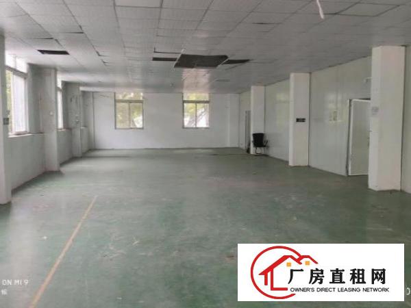  经典小独院！松岗沙浦二路125号