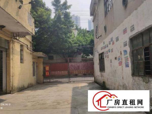  经典小独院！松岗沙浦二路125号