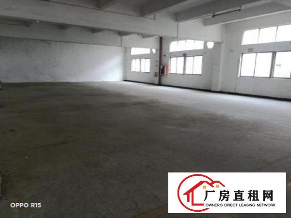  松岗燕川广田路边楼上整层3600平米厂房出租