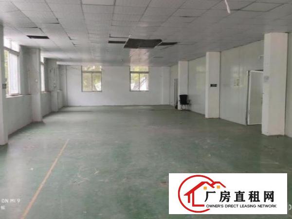  经典小独院！松岗沙浦二路125号整租1920平价格23