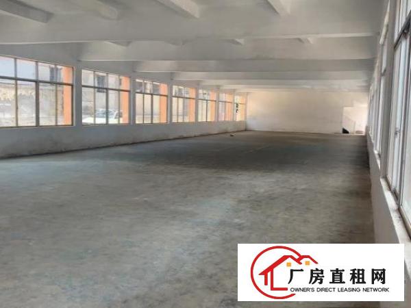  107国道旁一楼整层厂房招租大小可分