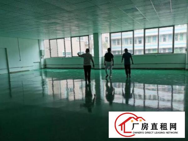  松岗楼岗社区出租厂房一楼800平跟二楼350平