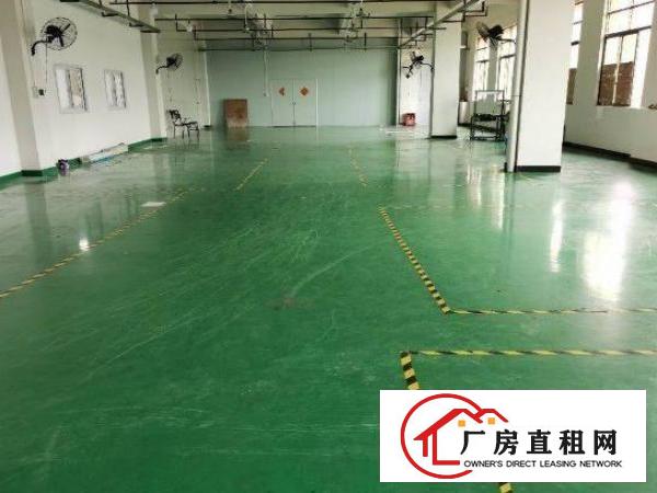  松岗楼岗社区出租厂房一楼800平跟二楼350平