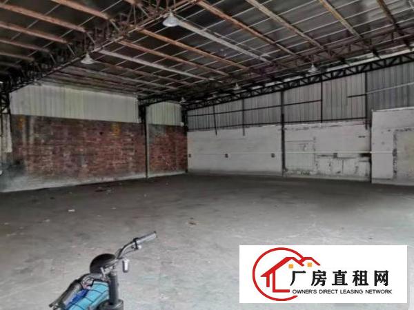  松岗楼岗社区原房东单一层钢构550平
