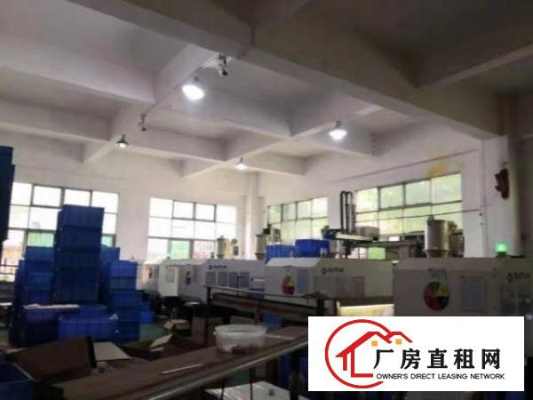  松岗溪头社区厂房一楼650平招租带装修