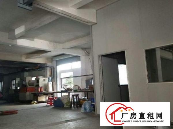  松岗花果山原房东直租一楼460平，有行吊