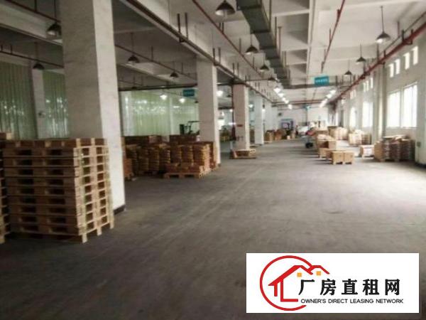  松岗松涛新出一楼厂房3000平方厂房按需分租