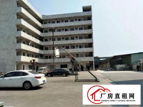  松岗松涛新出一楼厂房3000平方厂房按需分租