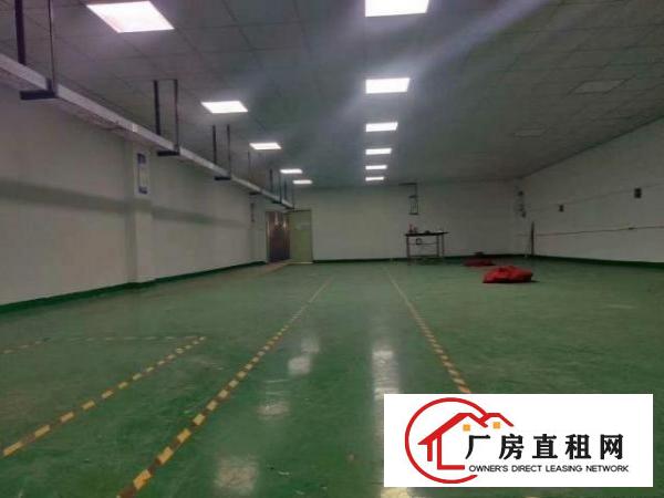 松岗潭头社区带装修300平厂房出租