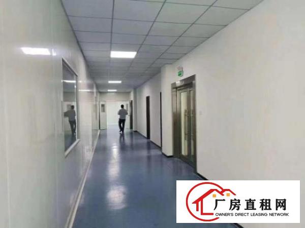  【出租】宝安区松岗塘下涌1800平方全新厂房出租