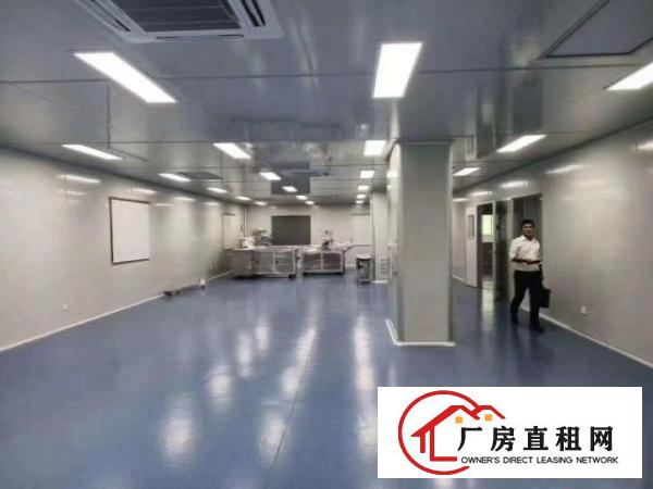  【出租】宝安区松岗塘下涌1800平方全新厂房出租