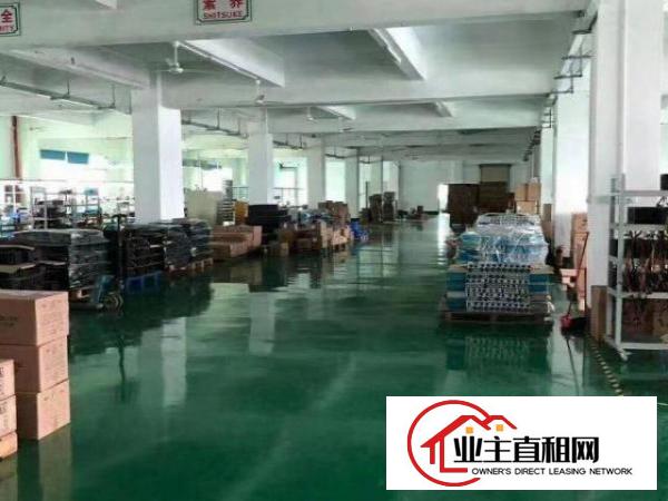  松岗独院精装修厂房5000平