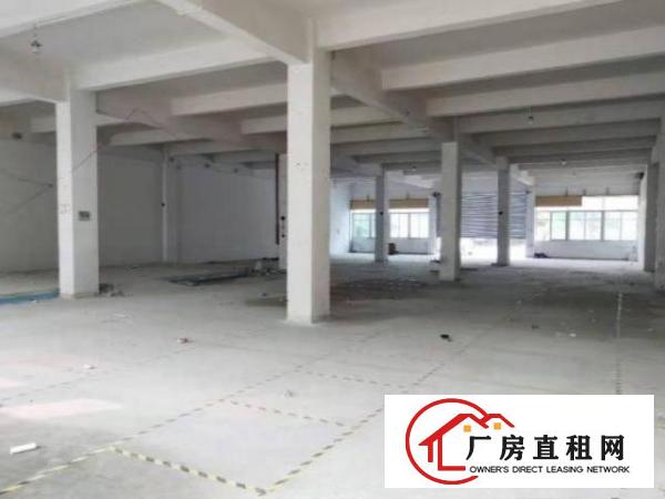  松岗碧头标准厂房一楼800平方出租