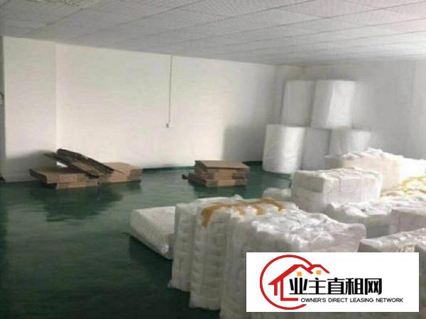  松岗江边1000平方带无尘车间厂房出租